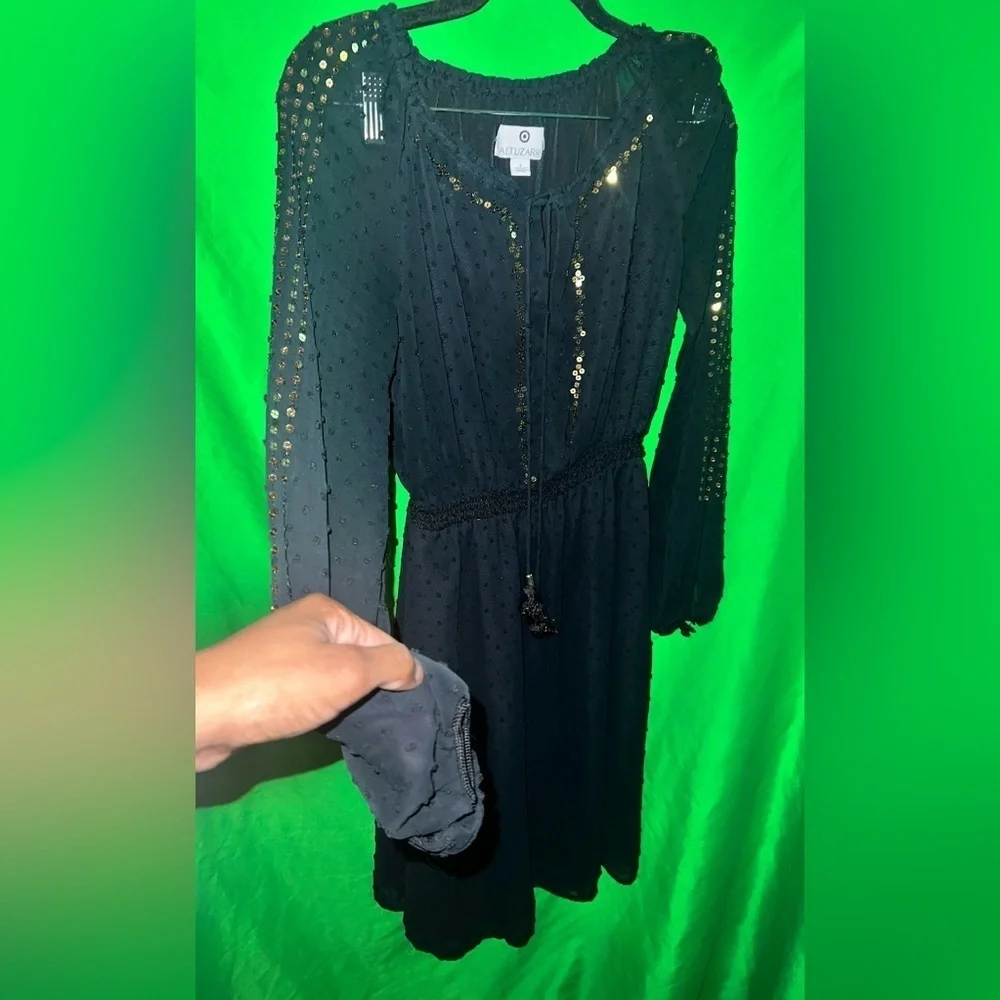 Altuzarra x Target Elegant Black Sheer Dress size 2